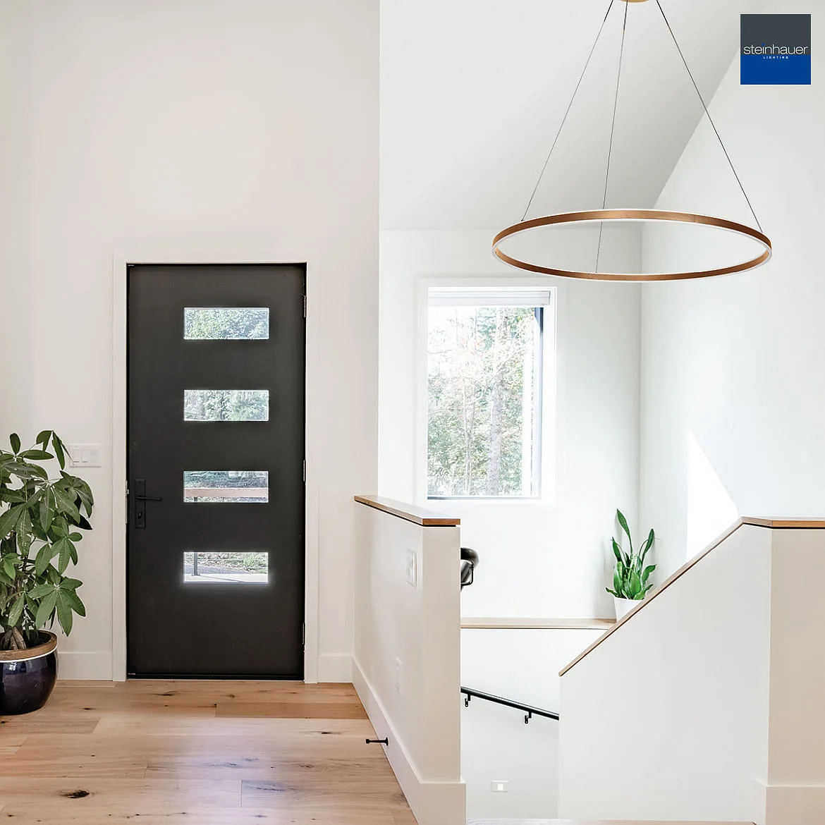 Steinhauer Luminaire à suspension RINGLUX haut bas IP20, or gradable Steinhauer Luminaire à suspension RINGLUX haut bas IP20, or gradable