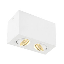 Luminaire de plafond TRILEDO DOUBLE à 2 flammes, pivotant, double, blanche