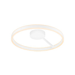 Applique et plafonnier ONE DALI �60CM haut bas, contr�lable par DALI, CCT Switch, forme de l'anneau IP20, blanche gradable