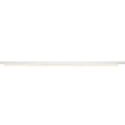 Projecteur triphas� SIGHT EASY DALI rigide, pour VDU, contr�lable par DALI, asym�trique IP20, gradable