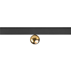 Projecteur sur rail DYSKO IP20, or, noir gradable