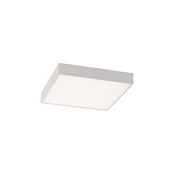 Luminaire de plafond OPORTO 3973/40 avec diffuseur IP20