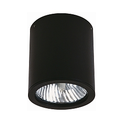 Plafonnier extérieur TYPE NO 2130 rigide E27 44, noir mat gradable