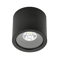 LED Outdoor Ceiling Spot Type No. 2319, IP44, Ø 11cm, 8W 3000K 800lm 30°, swiveling 30°, black matt