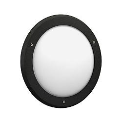 outdoor wall luminaire TYPE NO 6419 IP44, opal, black dimmable