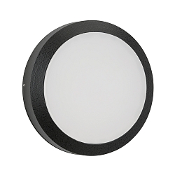 outdoor wall luminaire TYPE NO 6420 IP54, black dimmable