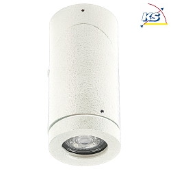 Outdoor Ceiling spot Type No. 2138, IP44, GU10 PAR16 50W, rotatable and swiveling, white