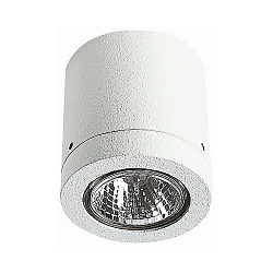 Plafonnier extérieur TYPE NO 2140 rigide GU10 23, blanche gradable