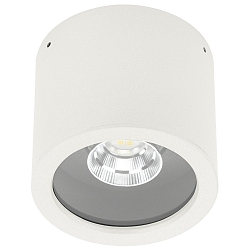 LED Outdoor Ceiling spot Type No. 2319, IP44, Ø 11cm, 8W 3000K 800lm 30°, swiveling 30°, white matt
