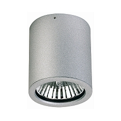 Plafonnier extérieur TYPE NO 2130 rigide E27 44, argent mat gradable