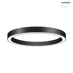 ceiling luminaire BIRO CIRCLE  60/10CM DALI controllable, direct IP20, black dimmable