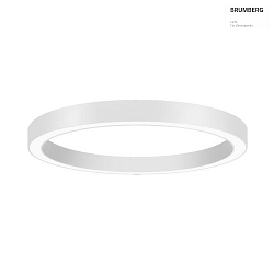 Luminaire de plafond BIRO CIRCLE  100/10CM contrlable par DALI, Tunable White, direct LED IP20, blanche gradable
