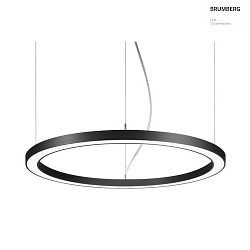 Luminaire  suspension BIRO CIRCLE rond LED IP20, noir  gradable