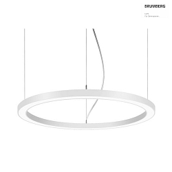 Luminaire  suspension BIRO CIRCLE rond LED IP20, blanche gradable