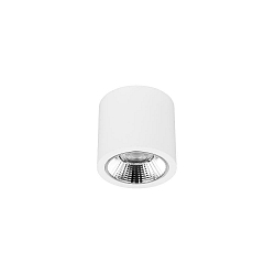 Downlight APOLLO MIDI rond, commutable, � facettes IP20, couvert de poudre, blanche 