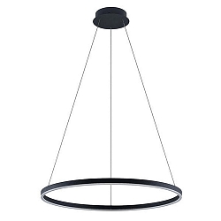 Luminaire à suspension GRAHAM 1 voie, forme de l'anneau IP20, noir mat gradable