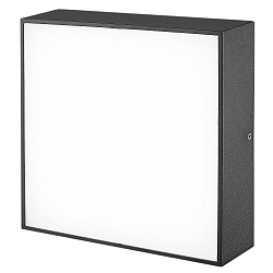 Applique et plafonnier grand, carré IP65, anthrazit 