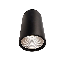 Luminaire de plafond LUNA 40 IP20, d�gager, noir mat, transparent