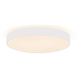wall and ceiling luminaire MENKAR 40 IP20, white