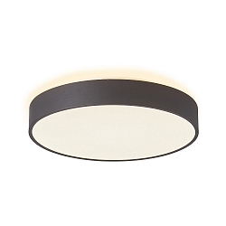 wall and ceiling luminaire MENKAR 40 IP20, black