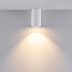 Downlight CAN cylindrique, rigide GU10 IP20, blanche