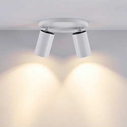 Luminaire de plafond CAN TILT ROUND � 20CM � 2 flammes, rond, pivotant � la cardan GU10 IP20, blanche