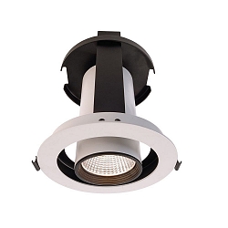 Downlight LUNA 30 IP20, d�gager, transparent, blanc mat gradable