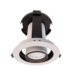 Downlight LUNA 30 IP20, d�gager, transparent, blanc mat gradable