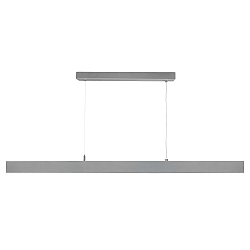 Pendant luminaire D PROFESSION DOWN, power supply unit 1-10V, 200-240V AC/50-60Hz, 28W, silver