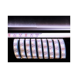Bande LED 5050 SMD flexible blanche