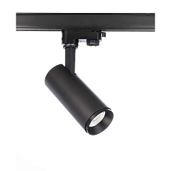 Projecteur triphas� LUCEA 10 IP20, noir , transparent gradable