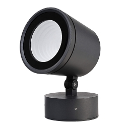 Projecteur COLT 65W COB asym�trique, r�glable, commutable IP65, gris fonc� 