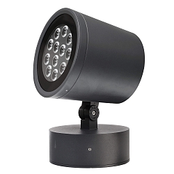 Projecteur d'ext�rieur COLT 36W RGBWW RGBW, inclinable, avec optique de lentille IP65, gris fonc� gradable