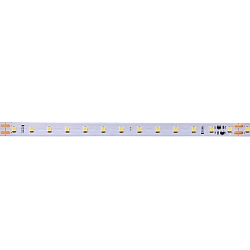 Bande LED 2835, 15m blanche blanche