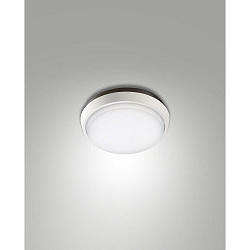 Luminaire de plafond OLLY Ø 17.5CM rond, résistant aux chocs, commutable IP54, blanche 