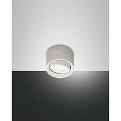 Downlight ANZIO pivotant IP20, partiellement satin�, blanche 