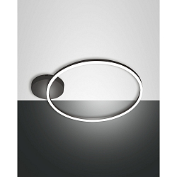 Luminaire de plafond GIOTTO � 60CM SINGLE grand, 1 voie IP20, satin�, noir gradable