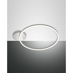 Luminaire de plafond GIOTTO � 60CM SINGLE grand, 1 voie IP20