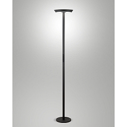 Lampadaire FIZZ CCT Switch, direct / indirect, avec variateur tactile IP20, anthrazit gradable