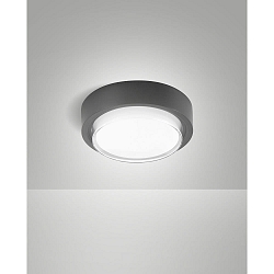 Plafonnier extérieur OWEN IP65, gris foncé