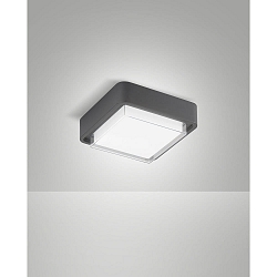Plafonnier extérieur DIUK IP65, gris foncé