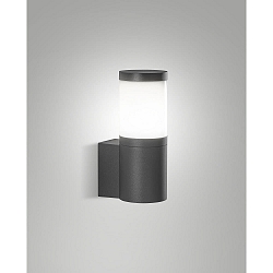 Luminaire mural d’extérieur GORLA E27 IP54, gris foncé