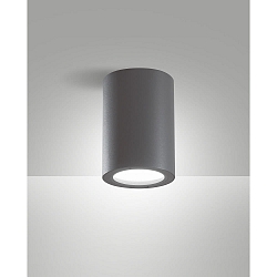 Plafonnier extérieur MANU E27 IP54, gris foncé