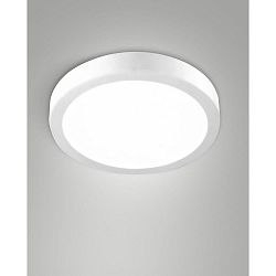 Plafonnier extérieur NICOLE CCT IP54, blanche