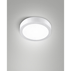 Plafonnier extérieur NICOLE CCT IP54, blanche