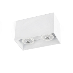 Luminaire de plafond TECTO à 2 flammes GU10 IP20, blanc mat 