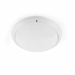 Luminaire mural DAKRON E27 IP65, blanc mat 