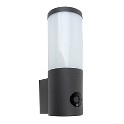 Luminaire mural d'extérieur ORWELL avec caméra LED IP54, gris foncé 