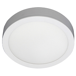 Luminaire de surface plat, rond, adapté aux postes de travail avec écran IP54, couvert de poudre, blanche gradable