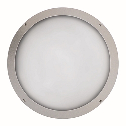 Luminaire mural d’extérieur IP65, argent 